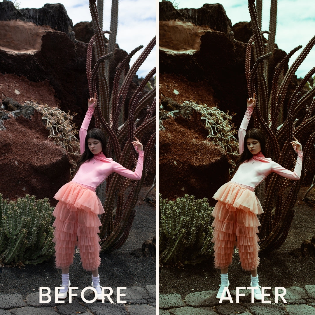 preset designed to enhance colors, improve details. image shows the before and after