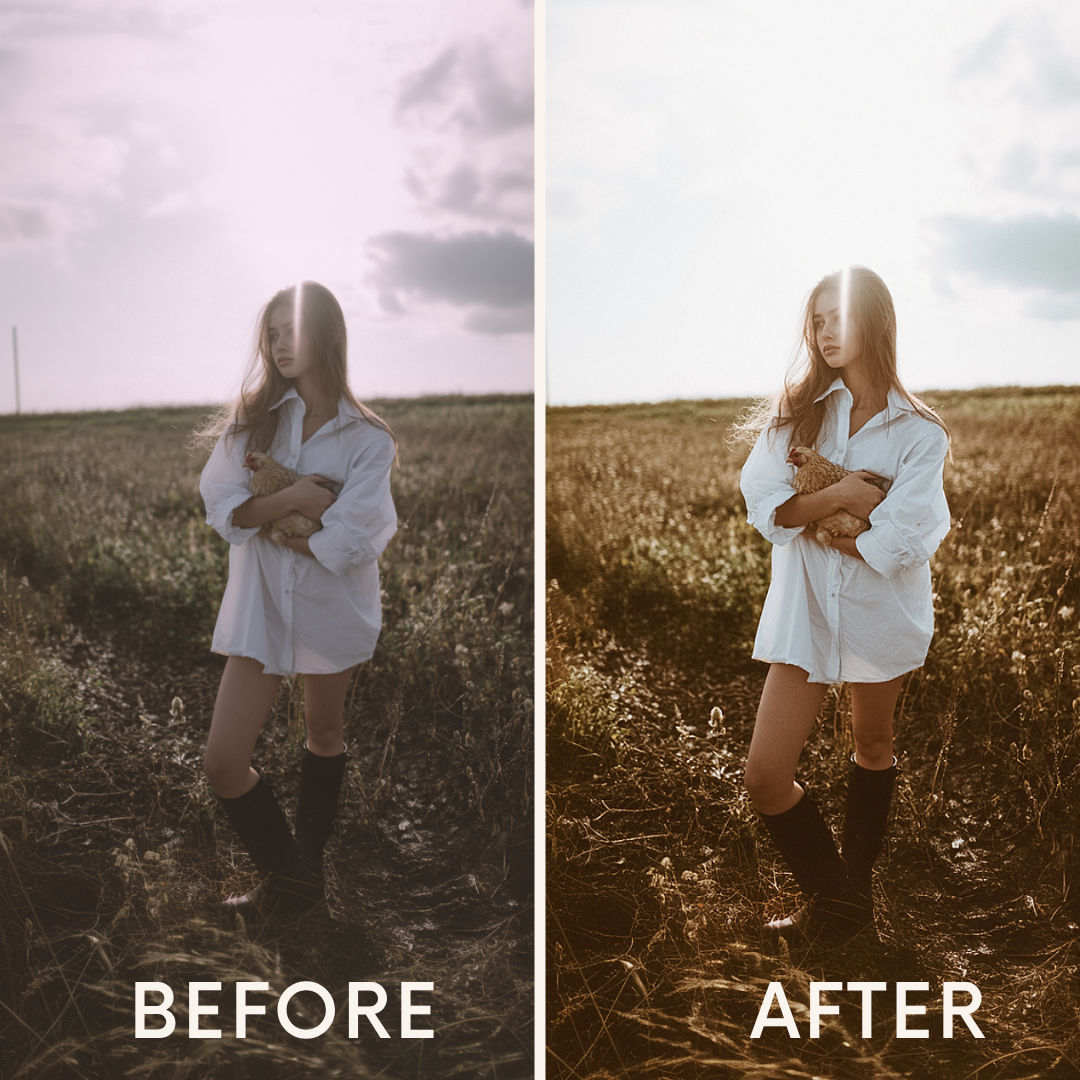 Master Preset Collection ( 202 Professional Presets)