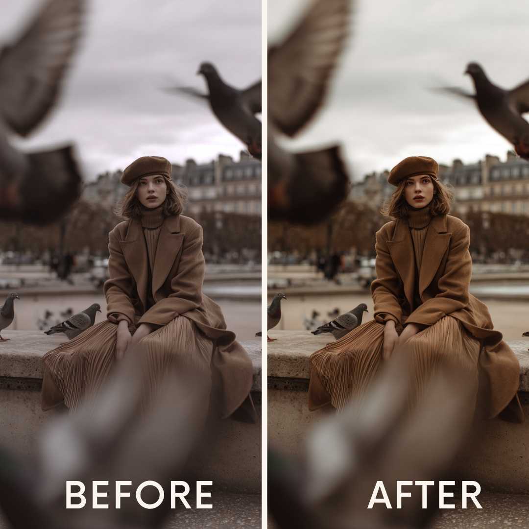 Master Preset Collection ( 202 Professional Presets)